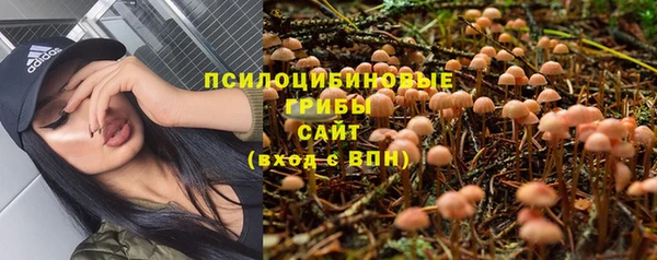 ПСИЛОЦИБИНОВЫЕ ГРИБЫ Алексин