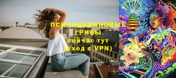 винт Алексеевка