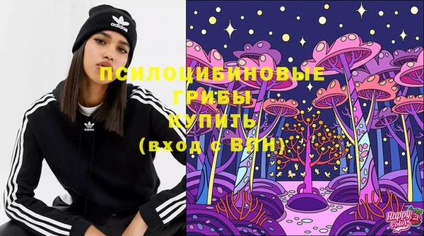 apvp Алзамай