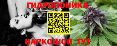 a pvp Донской