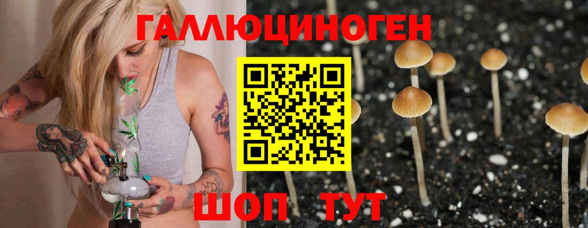 Псилоцибиновые грибы MAGIC MUSHROOMS  Вход с VPN  Ставрополь  Галлюциногенные грибы Magic Shrooms 